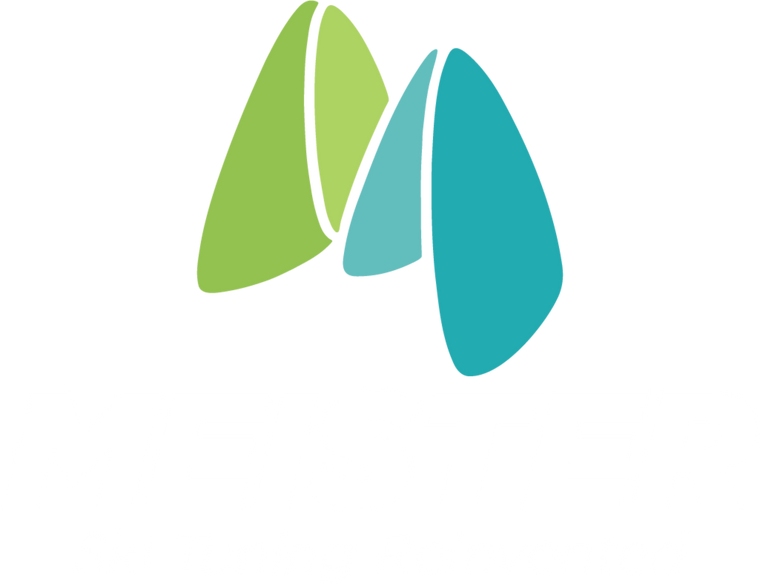 meister alpine racing secondary knockout logo